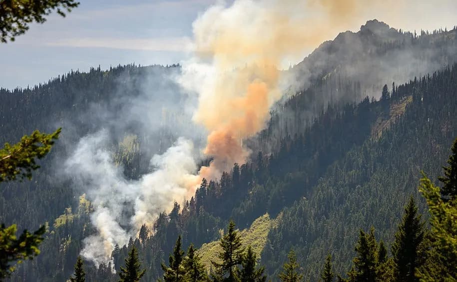 Detectarea incendiilor de vegetație prin monitorizarea calității aerului