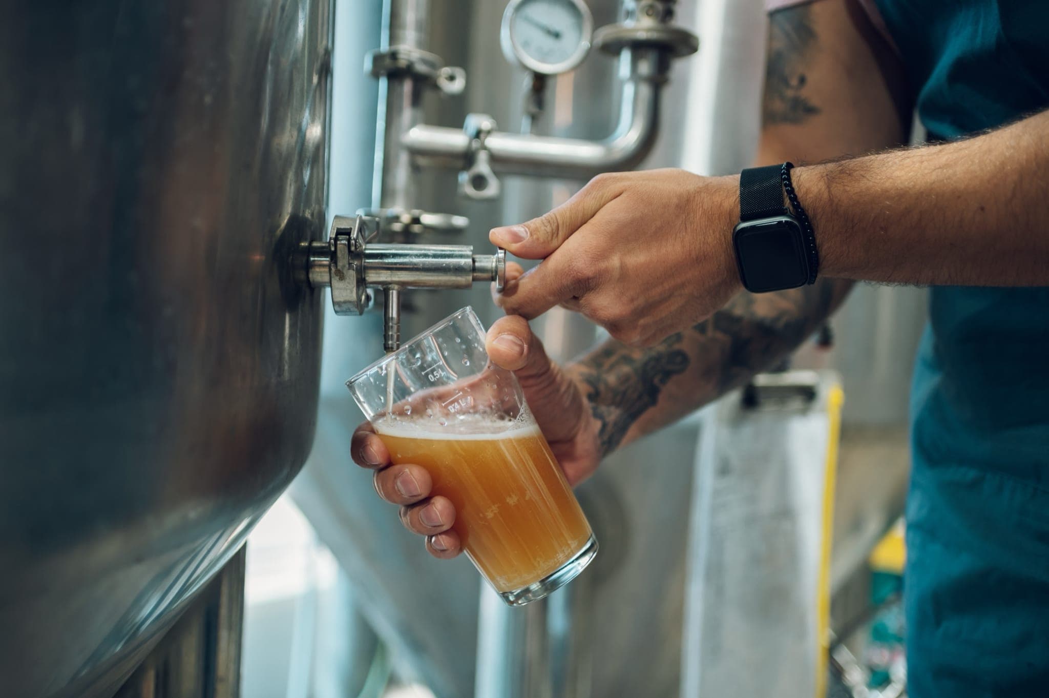 Beer brewing filtration and clarification
