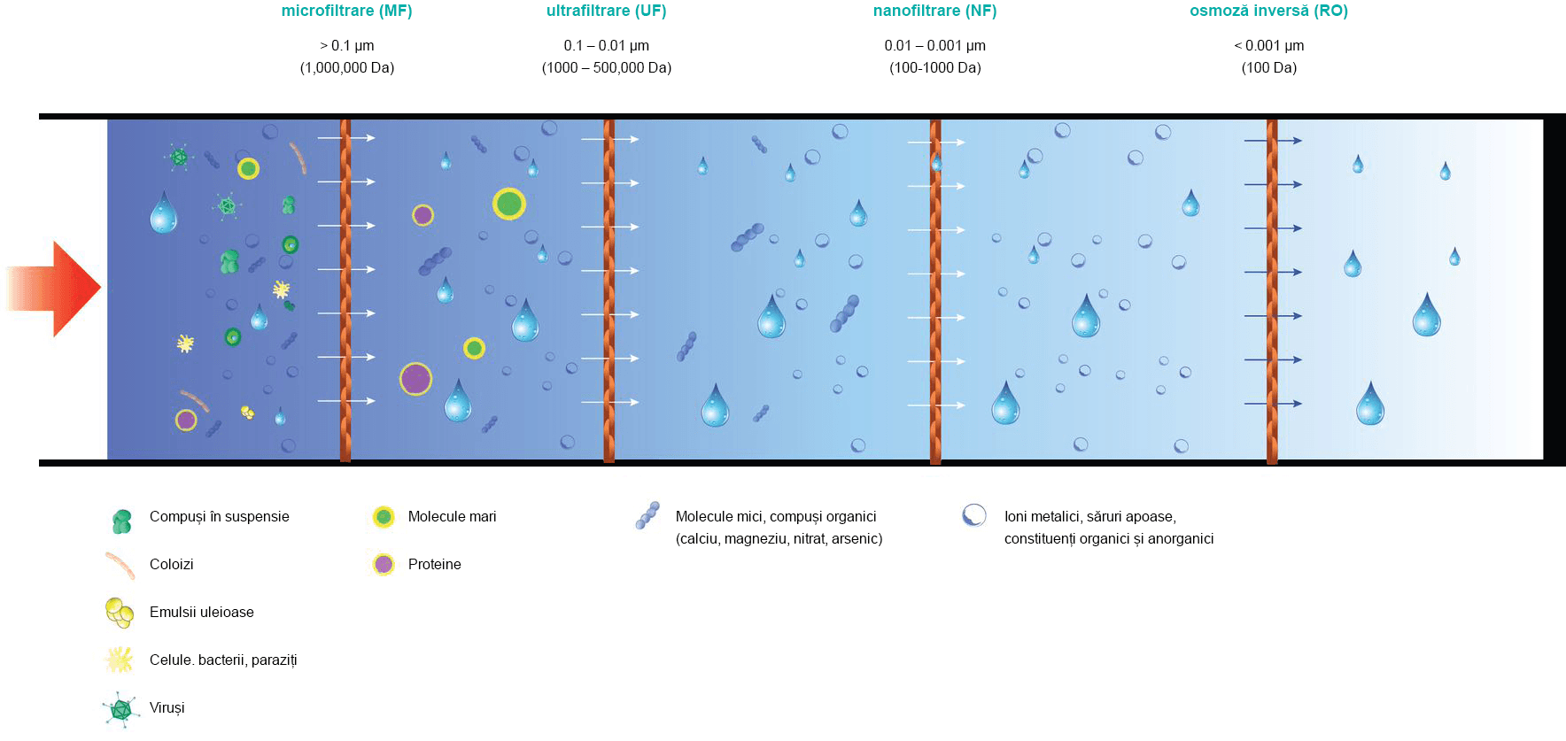 Membrane flux diagram — microfiltration, ultrafiltration, nanofiltration and reverse osmosis